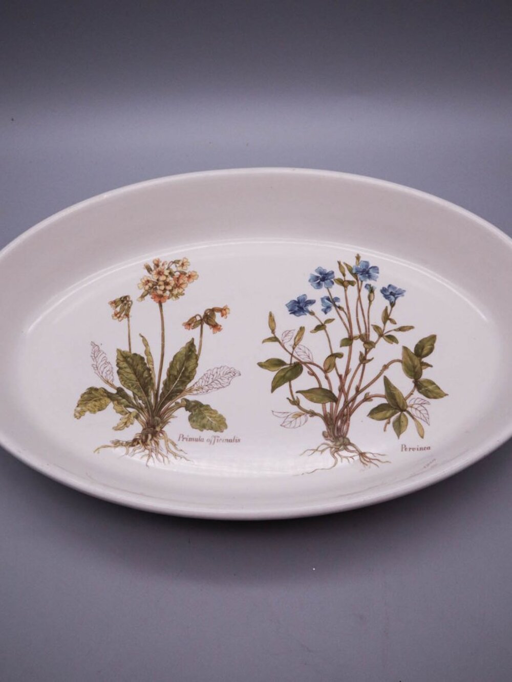 Portmeirion Botanic Garden Large Oval Baking Dish Pervinea Primula Officinalis